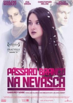PÃSSARO BRANCO DA NEVASCA