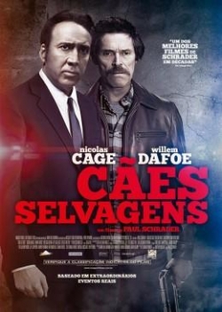 Cães Selvagens