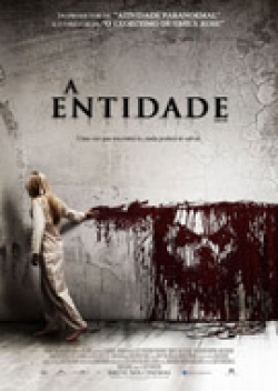 A Entidade 