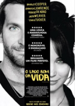 O Lado Bom Da Vida 