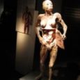 O Fantástico Corpo Humano