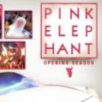 Pink Elephant New Years Celebration