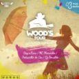 Wood's Tour Carnival