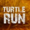 Turtle Run