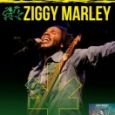 Ziggy Marley