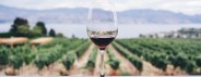 Circuito Wine Tracks