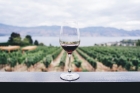 Circuito Wine Tracks